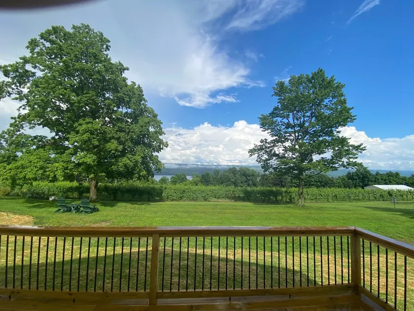 2 King Beds, Wineries + Watkins Glen at VineHaus - Image 1