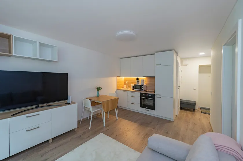 Proper apartment w balcony by Polo Apartments - Image 1