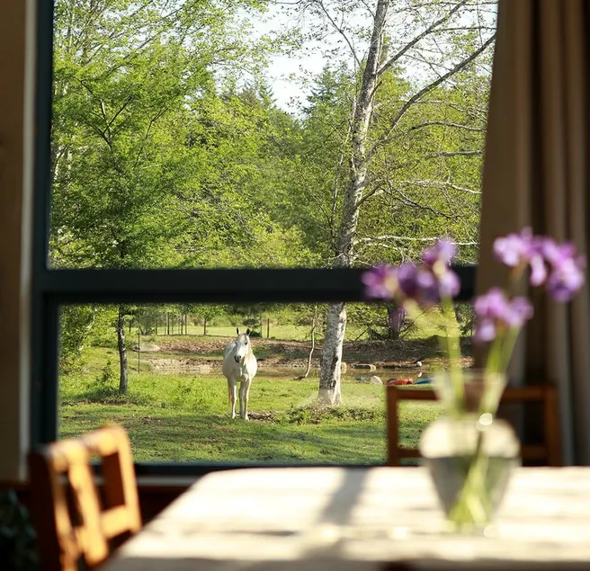 The Garden House - Image 1