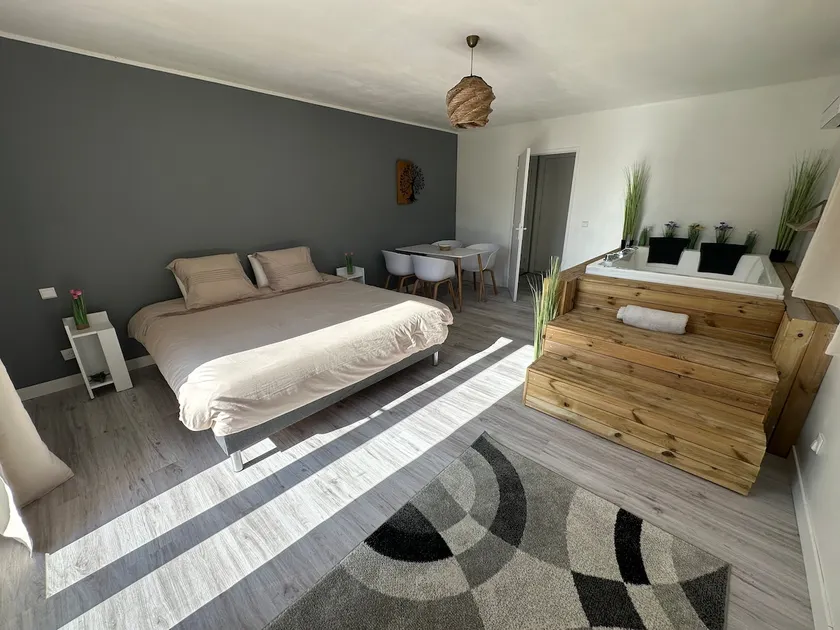 Studio SPA Balnéo - Jardin privé - Image 1