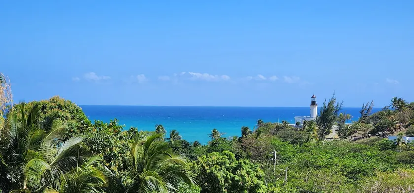 Beachy Tortuguita: Pool and Nature Preserve - Image 1