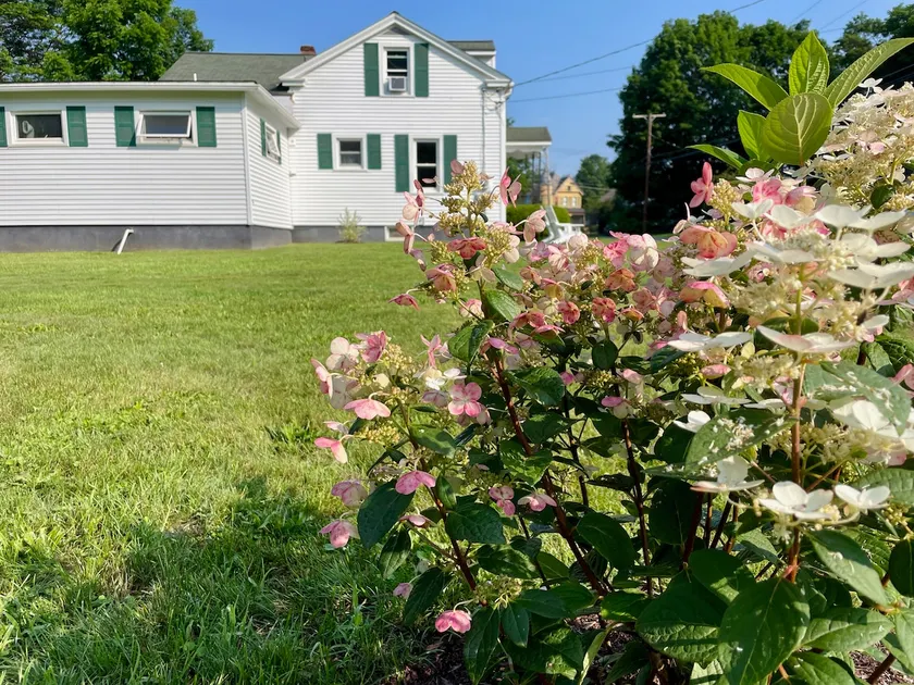 3BR Mid-Century | A/C | Mins to All Star Village - Image 1