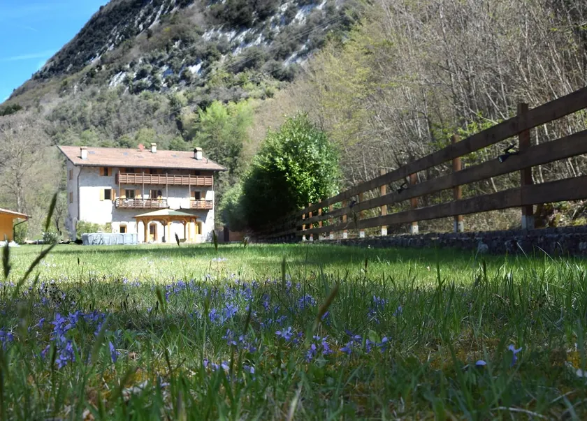 Country House Foglie d'erba - Image 1