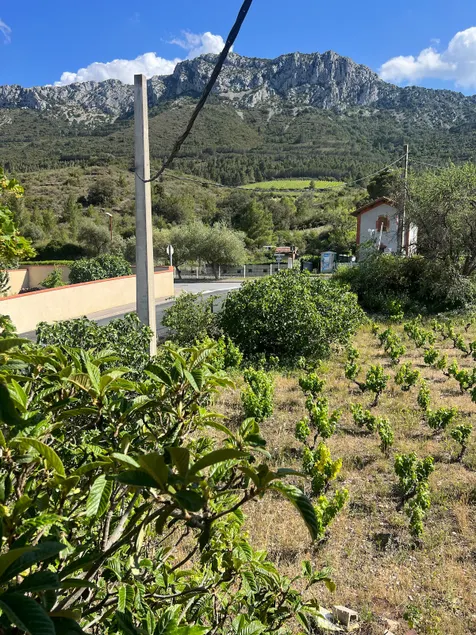 L'Oustal des Vignes - Image 1