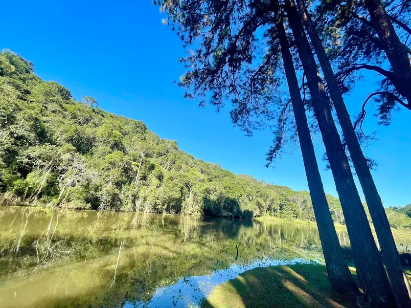 Chalet on the lake 40 min. from SP Primavera - Image 1