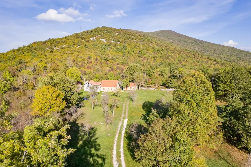 Secret forest house - Image 1