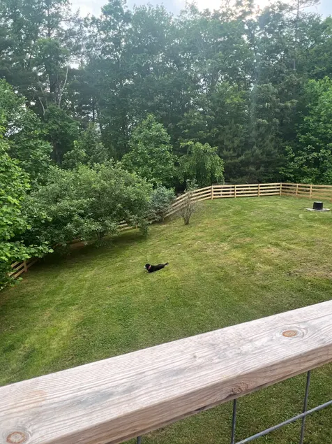 Dog-Friendly Cabin Near Lake James & Pisgah - Image 1