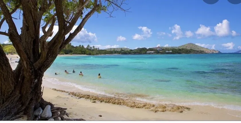 Sapphire Beach; St Thomas USVI; Sleep 4; STEPS FROM BEACH - Image 1