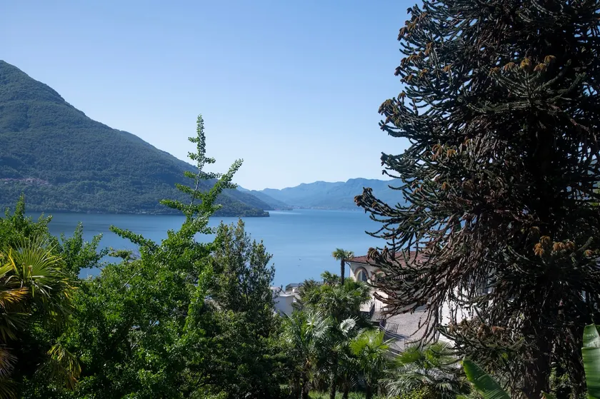 Lake Blues - Image 1