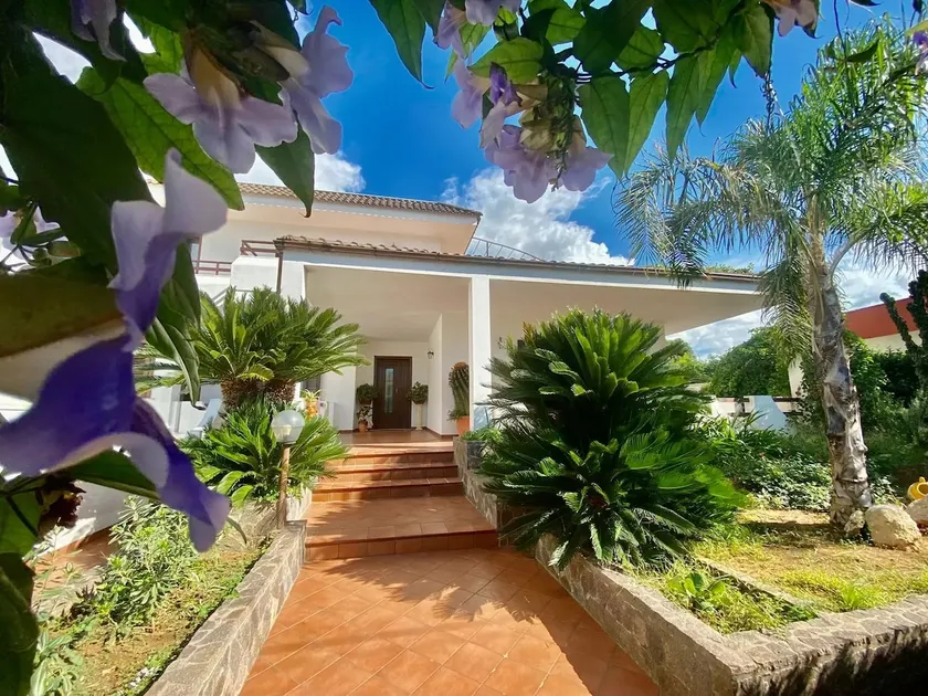 The Rosa's Luxury House - Image 1