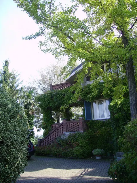 Relaxing home in the Monferrato hills - Image 1