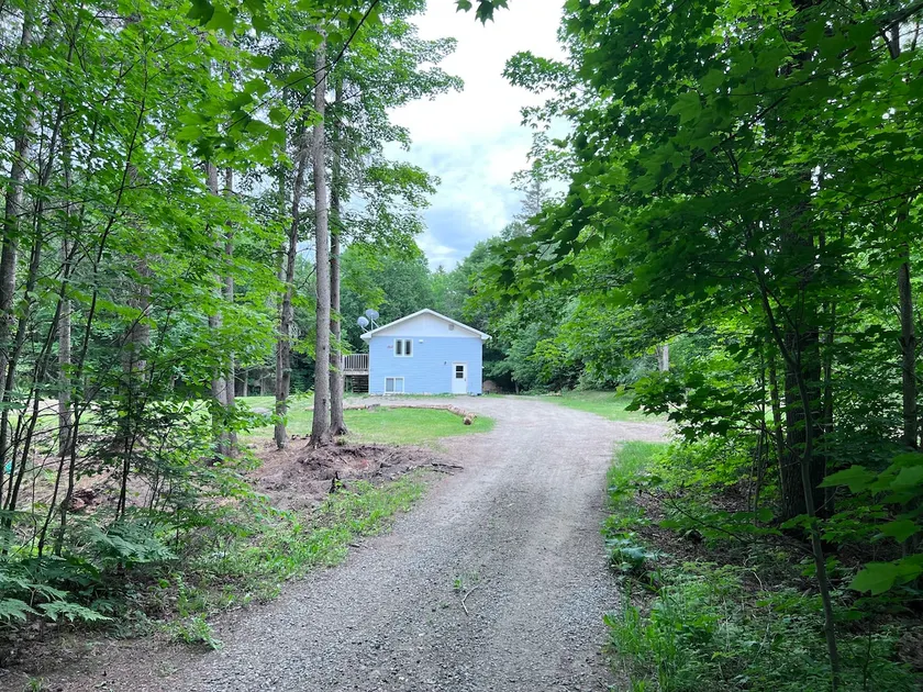 Serenity In The Wilderness - Image 1