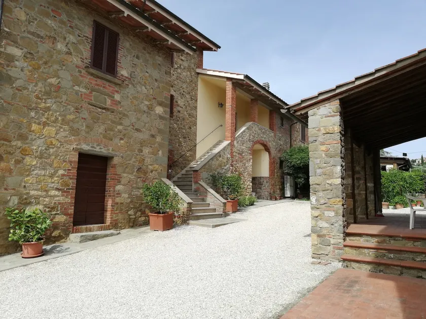 Il papavero verde - Image 1