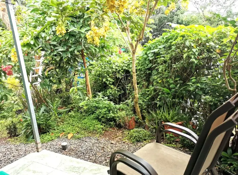 KIWI Manuel Antonio|Peaceful & Natural|ParkingLot - Image 1