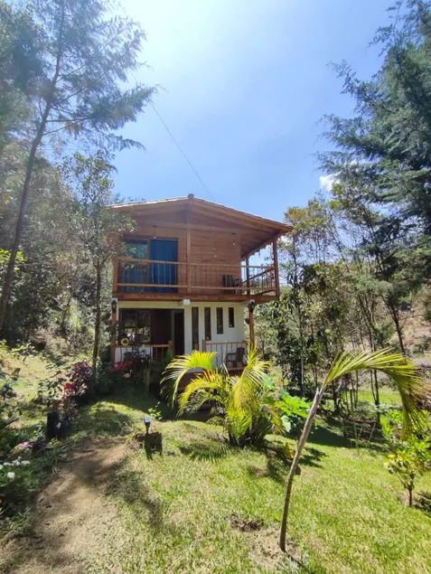 paniym cabin - Image 1