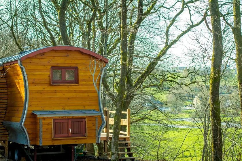 Forestry trailer - Image 1