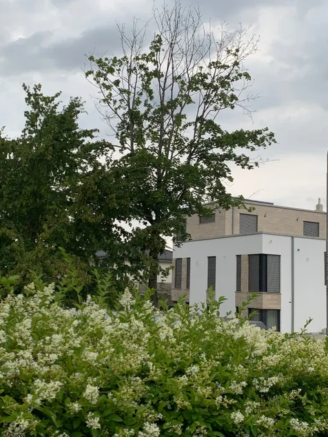 Mosaikhaus Smart Home - Image 1