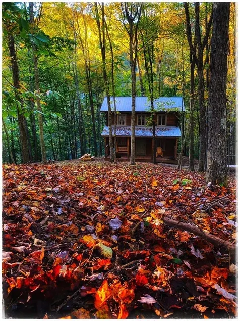 Sugar Maple Cabin - Image 1