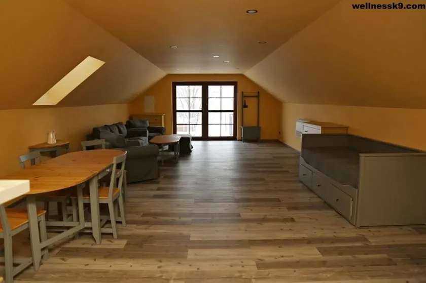 Large apartment - Image 1
