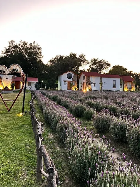 Eco-friendly cabins with a view - Image 1