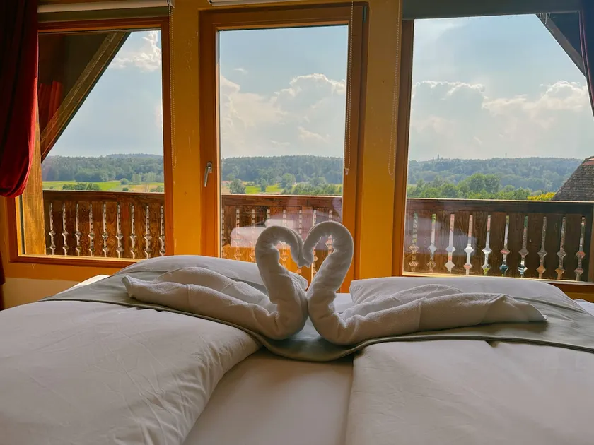 Wellness chalet in the countryside - Image 1