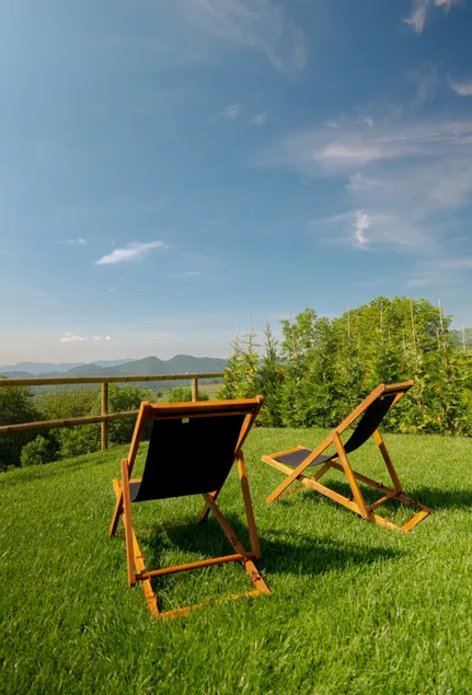 Luxurious house with a private garden and panoramic view - Image 1