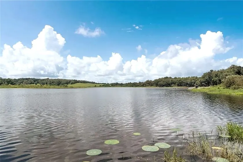 Waters Edge-A Lakefront Oasis of Peace & Privacy - Image 1