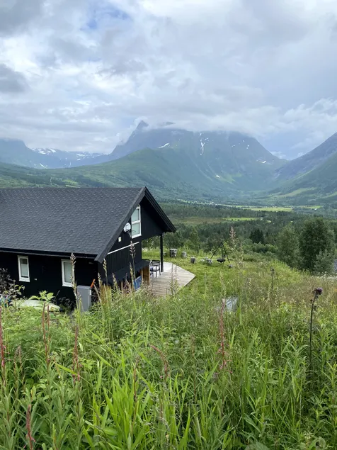 Great cabin in beautiful nature - Image 1