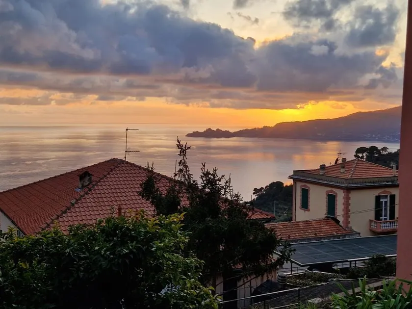 Panoramic garden overlooking the sea, a corner of Liguria - Image 1