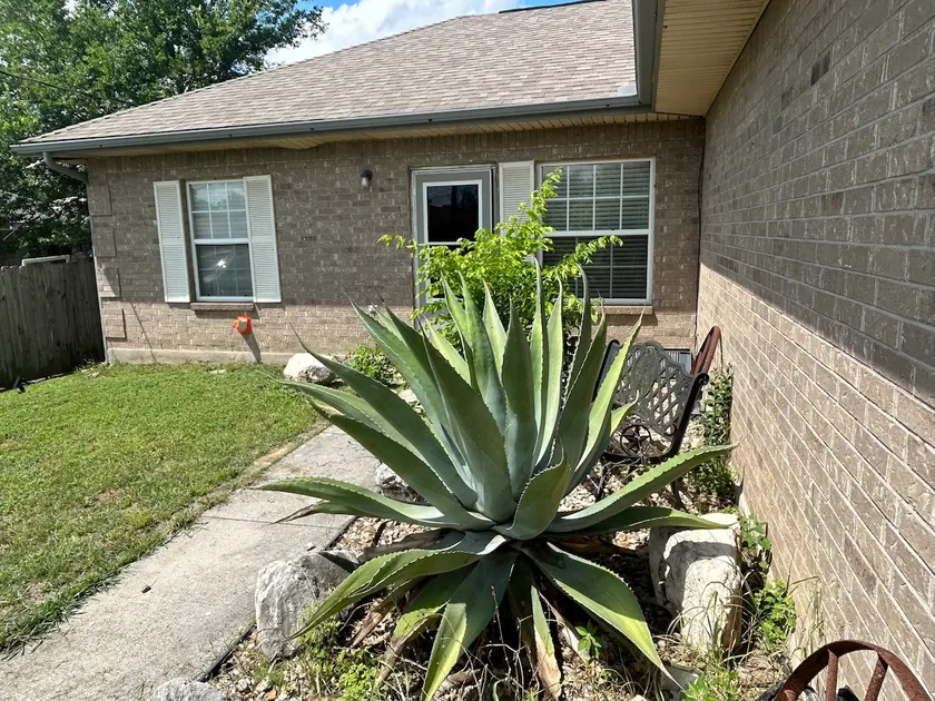 Bellair rental house. - Image 1