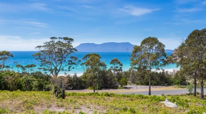 The View @ Spring Beach - Image 1