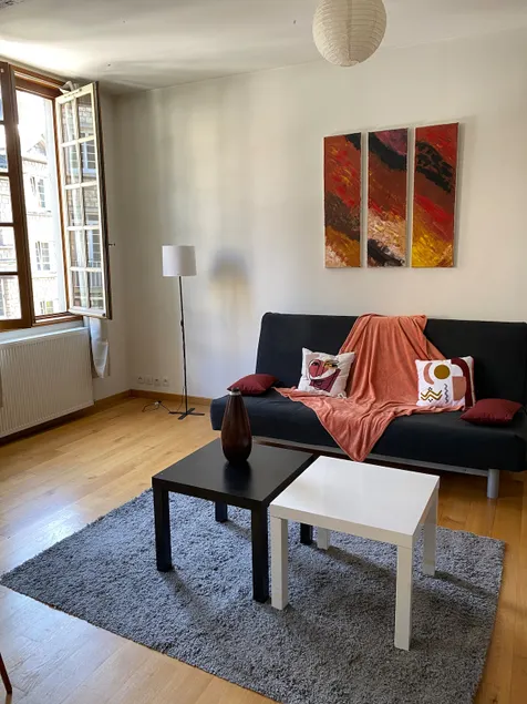 Charming 3-P apartment - Image 1