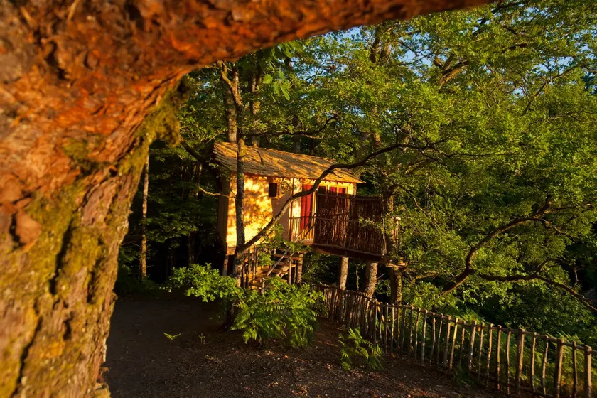 Spruce Wish Cabin - Image 1