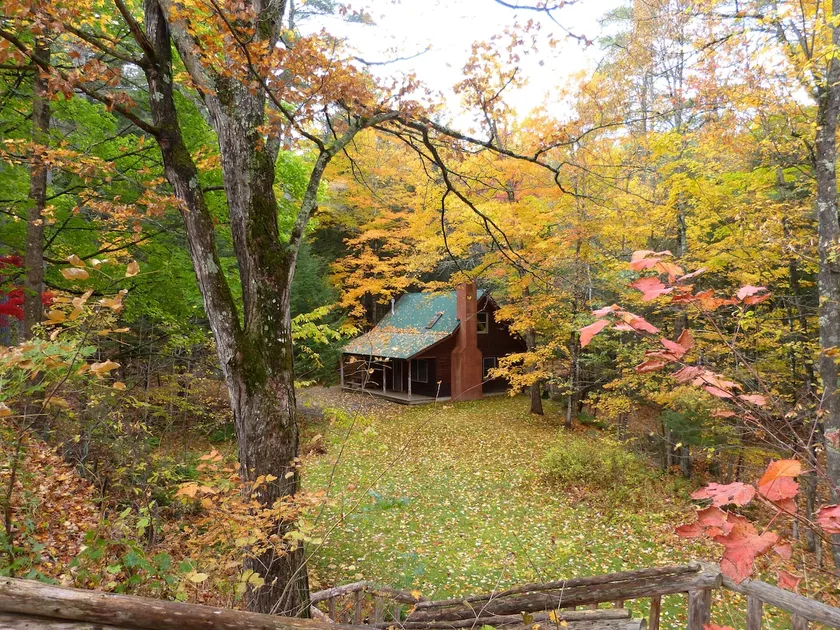 Brookside Cabin in the Woods - Image 1