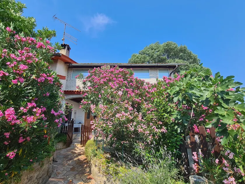 Apartma Oleander - Image 1