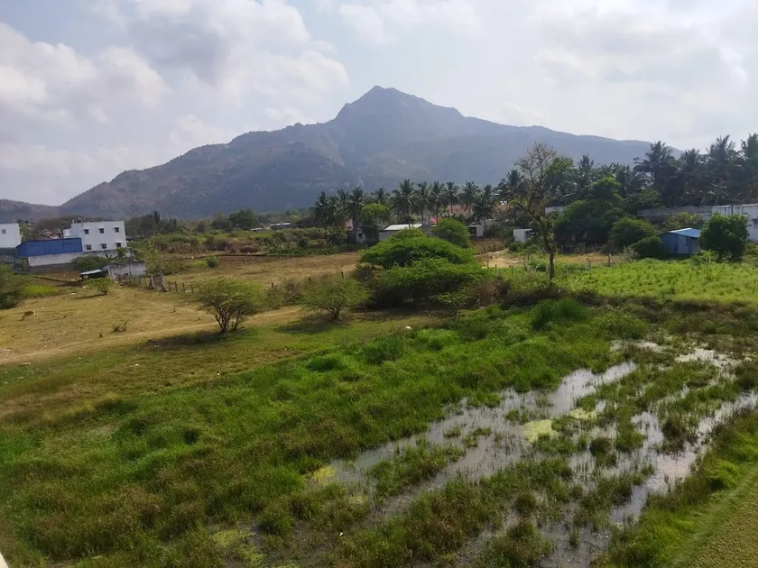 Pink House- 1BHK with a view of Arunachala - Image 1