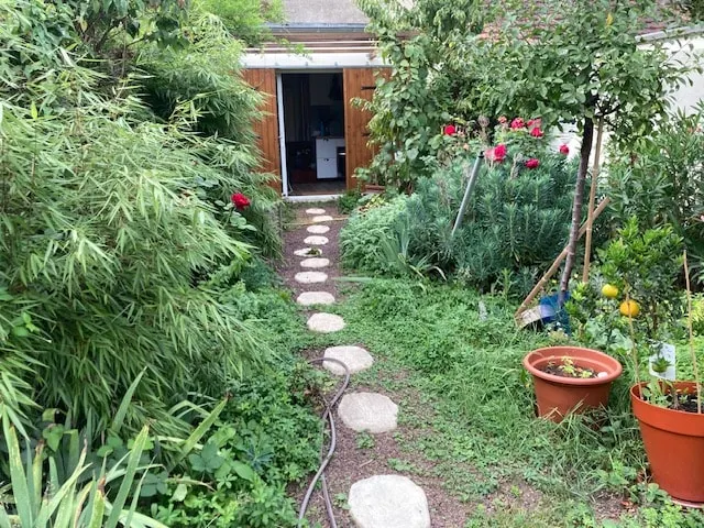 the garden rediscovered bamboo studio - Image 1