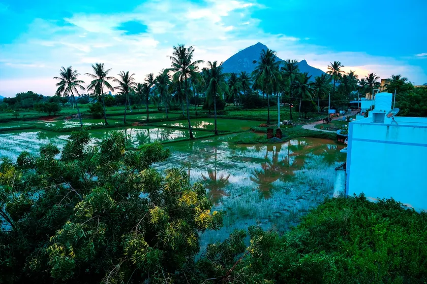 Private 2BHK with Arunachala View • Tiruvannamalai - Image 1