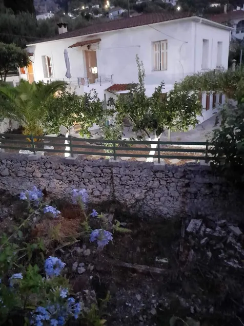 The Garden - Image 1