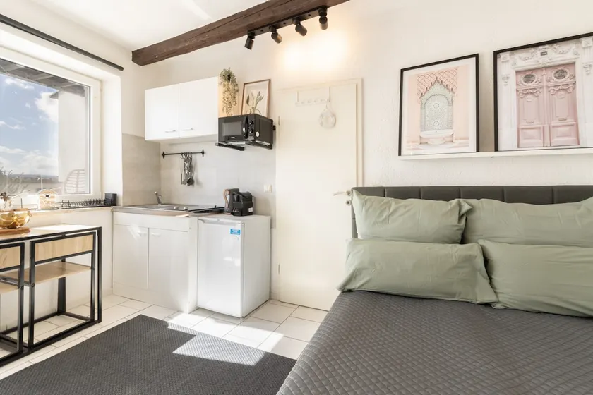 Tiny apartment with spacious terrace on the Rhine - Image 1