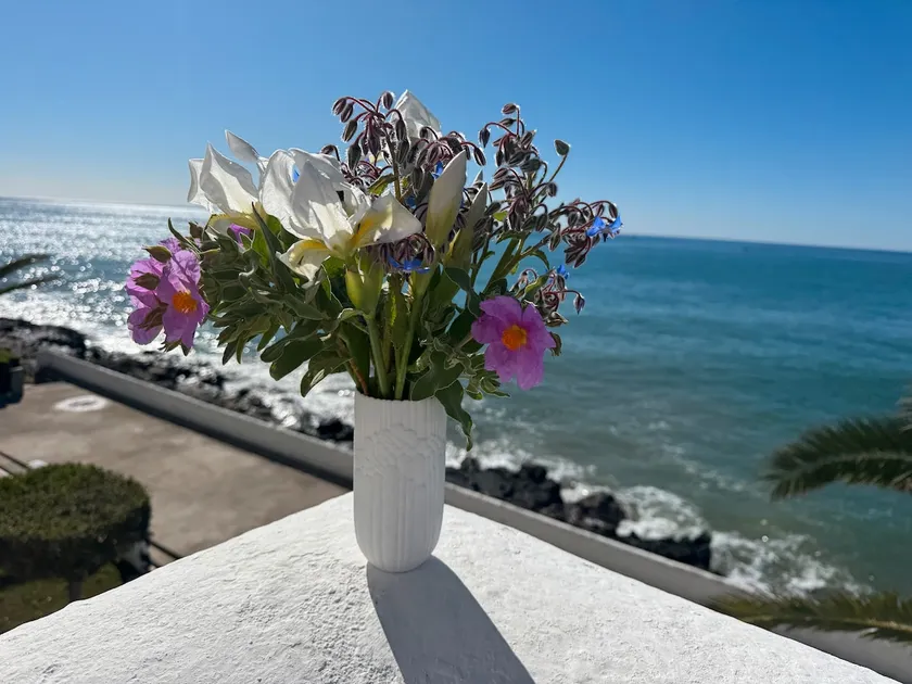 Sea breeze - Image 1