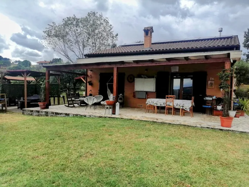 House of Olives - Image 1