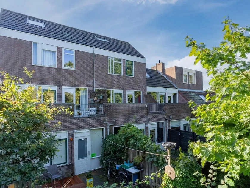 Lהgenhet i Alkmaar med havsstrand - Image 1