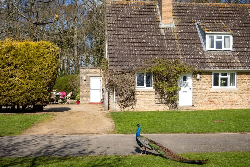 Peacock Cottage, Kirby Hall - Image 1