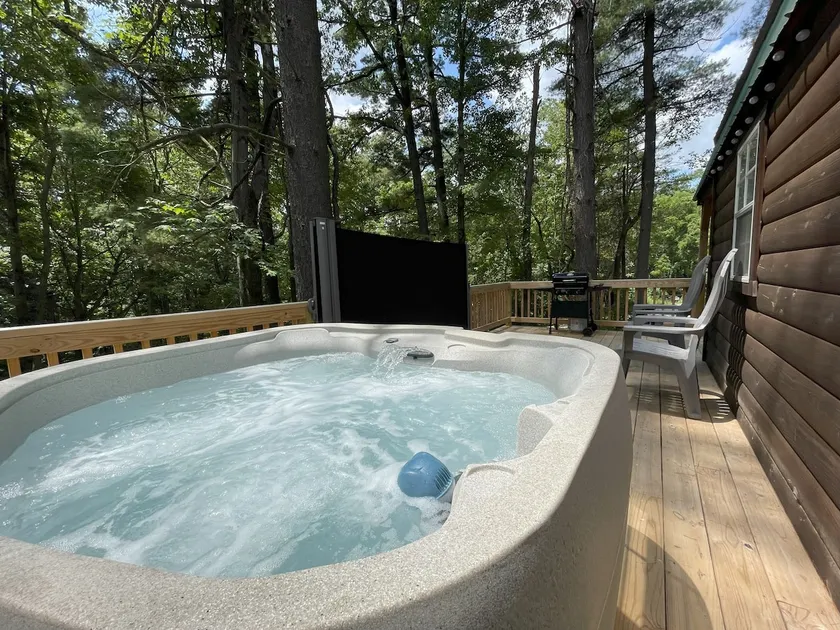 Tiny cabin on 37 acres w/ Hot tub, trails, pond - Image 1