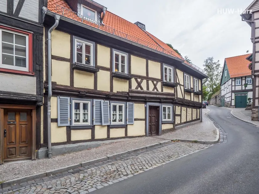 Wood and fine at the castle hill - Image 1