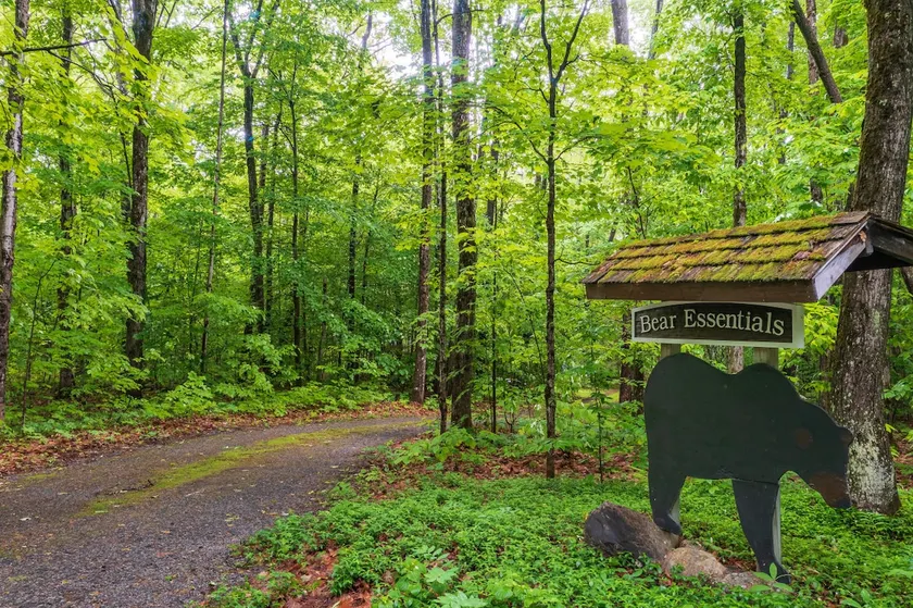 Bear Essentials Hideaway - Image 1