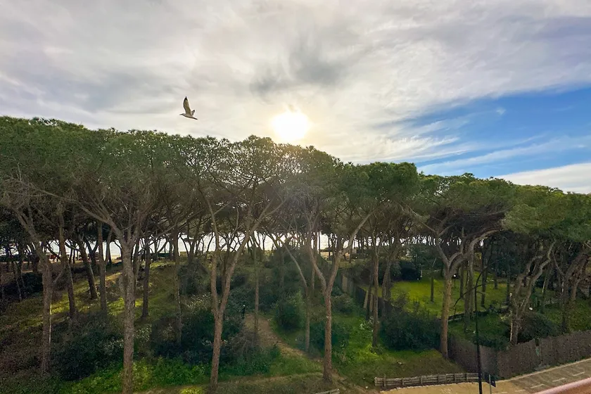 Apartment Follonica 87 - Image 1