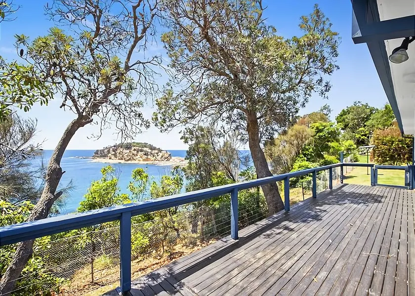 King of the World Rosedale - Image 1