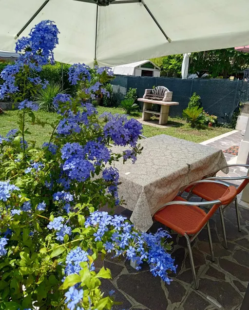 Berto's house tra mare e laguna - Image 1